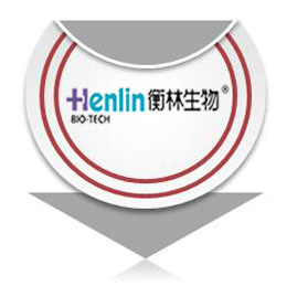 客户案例